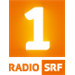 SRF 1 Bern Freiburg Current Affairs