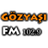 Gozyasi FM European Music