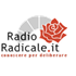 Radio Radicale