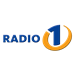 Radio 1 Prekmurje Electronic and Dance