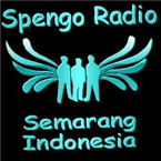 SpengoRadio SMG 