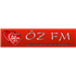 Öz FM Love Songs