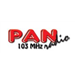Pan Radio Variety