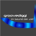 Groove Diggi Radio Electronic