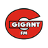 Gigant FM Adult Contemporary