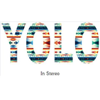 Yolo In Stereo 