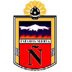 Ñuñoa Fire Department Fire