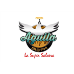 AGUILA 91.3 FM 