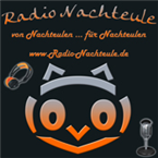 Radio Nachteule Top 40/Pop