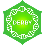 Positively Derby 