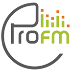 Pro FM Electronic