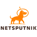 Netsputnik 