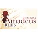 Amadeus Radio 102.4