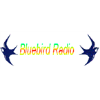 Bluebird Blues Radio Blues