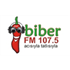 Biber FM Turkish Music
