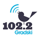 Gradski radio Top 40/Pop