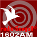 Radio Seagull Adult Rock