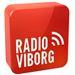 Radio Viborg Top 40/Pop