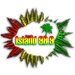 Island Radio 98.9 Hawaiian Music