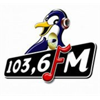 Pinguin FM Bali 