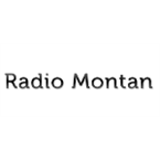 Radio Montan Top 40/Pop