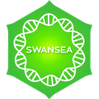 Positively Swansea 