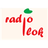 Radio Ilok 101.3 FM European Music