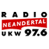 Radio Neandertal Top 40/Pop