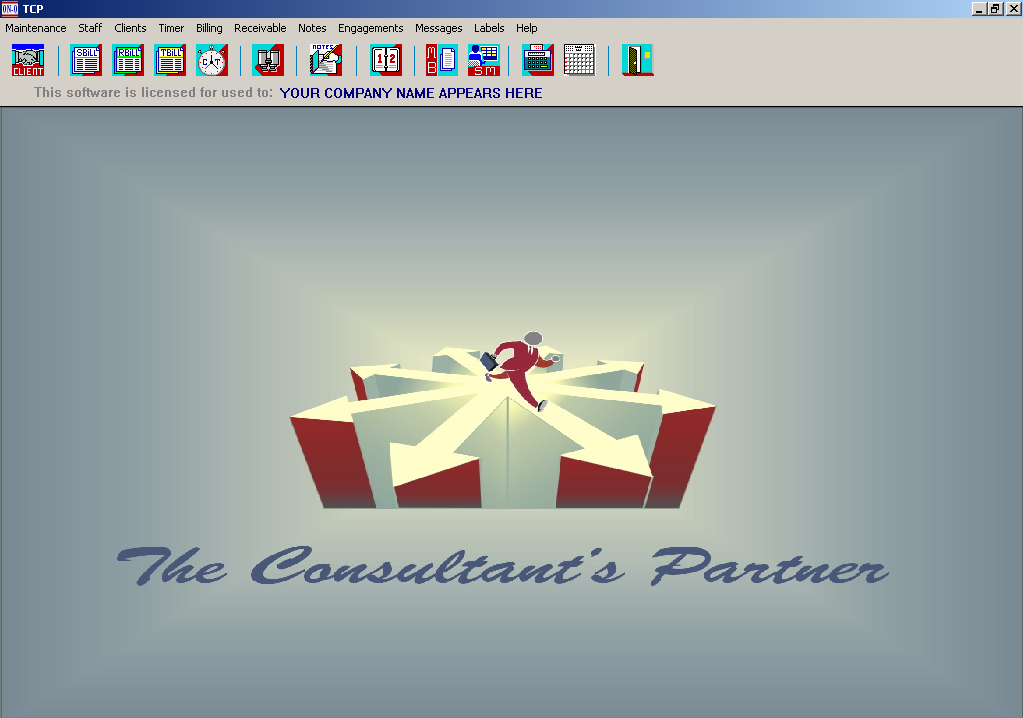 The Consultants Partner