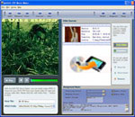 Material MPEG to DVD Converter 1.1.55
