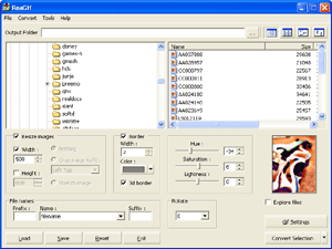 ReaGif - Graphic converter to GIF 1.2Image Conversion by ReaSoft.com - Software Free Download
