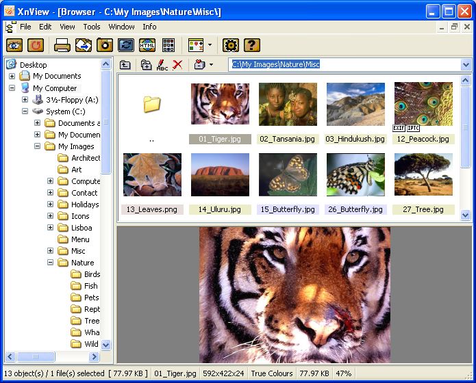 View browser. XNVIEW 2.49.5. XNVIEW 2.50.0. XNVIEW 2022. Misc XNVIEW