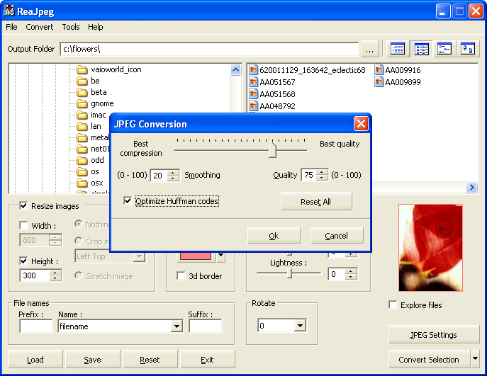 ReaJpeg image converter to Jpeg 1.2