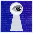 Wendfloware Privacy Suite 5.3.56
