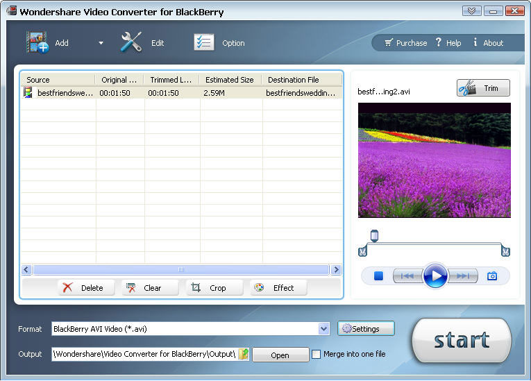 Wondershare Video Converter for Blackberry