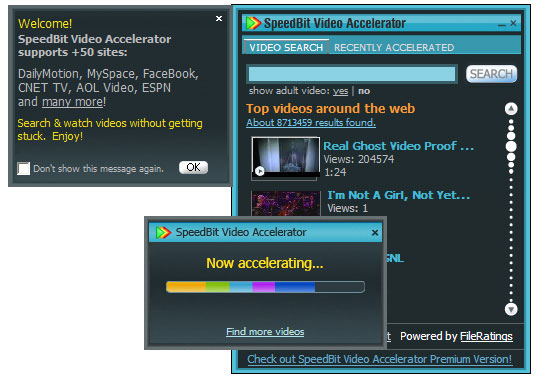 SpeedBit Video Accelerator beta