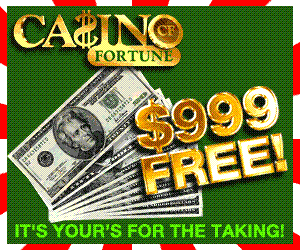 3D Casino Fortune