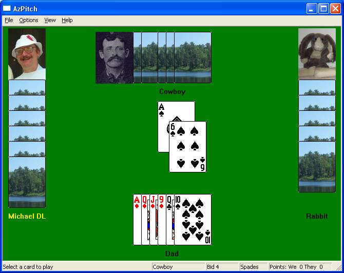 Arizona 29 card Pitch 1.20Cards by BlakeWare - Software Free Download