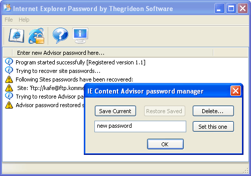 Internet Explorer Password (TSIEP)