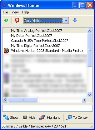 Windows Hunter 2008 Professional