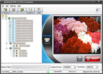 dvdXsoft DVD to iPod Converter Pro 1.1