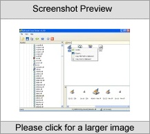 Icon Seizer Software