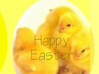 Animated Easter Chickens Wallpaper 1.0