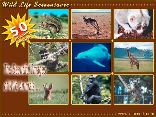 Wild Life Screensaver