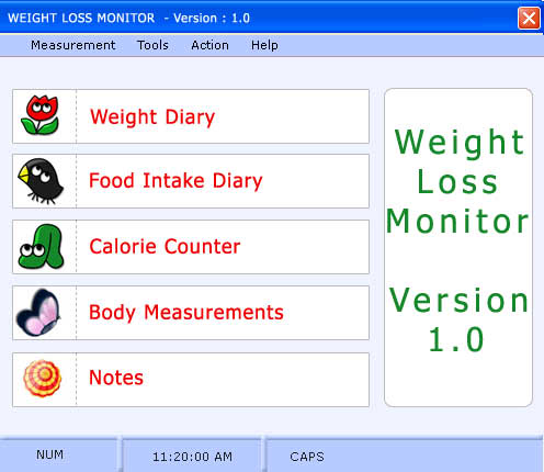 Weight Loss Ezee Monitor