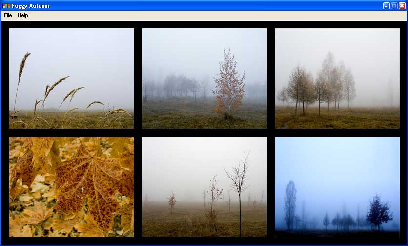 Bizimg Foggy Autumn