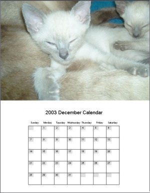 Custom Calendars