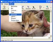 Priore ImageScan ActiveX