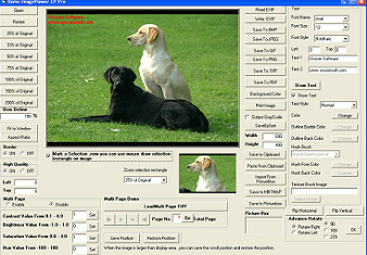 Image Viewer CP Pro TIF PDF ActiveX OCX