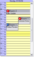 DayView OCX